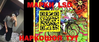 прущие крисы Тара